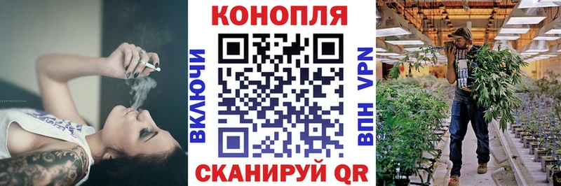 Купить  Гороховец  Каннабис ГИДРОПОН 